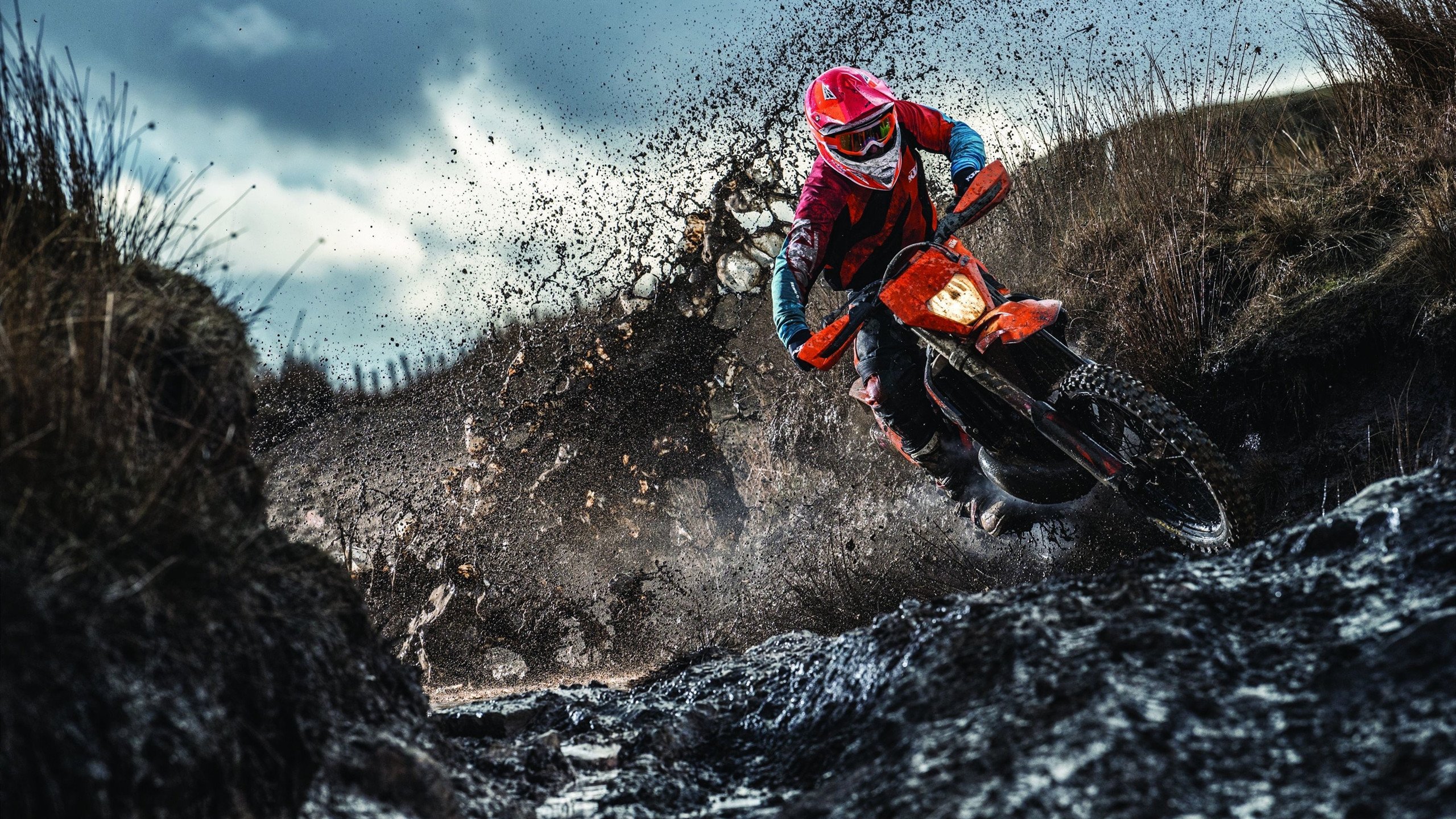 _未来运动场：虚拟与现实的无限可能_，未来运动主题乐园