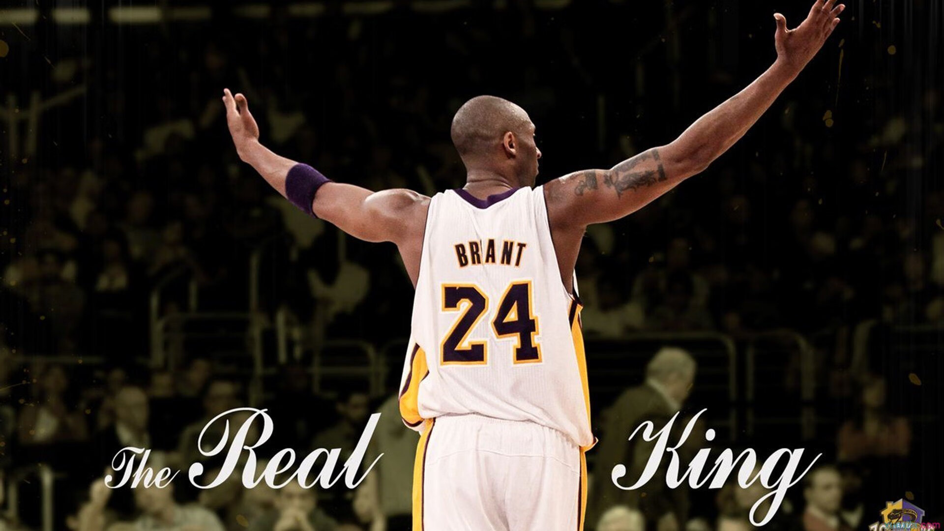 未来“欧洲霸主”潜力股：谁能笑到最后？，欧州的未来